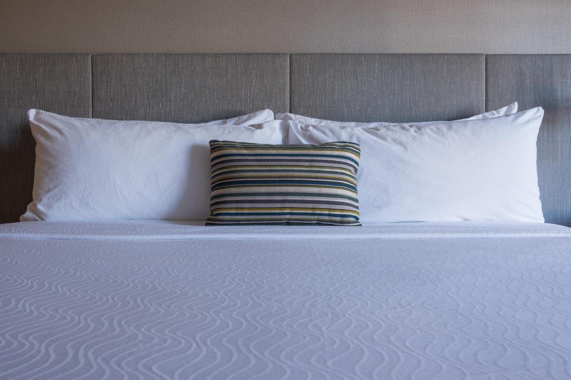 Hotel Indigo Napa Valley By Ihg Dış mekan fotoğraf